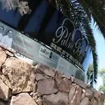Palm 4*