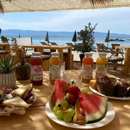 Palm Отель 4*