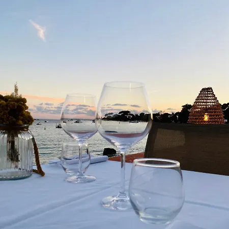 Hotel Palm Ajaccio (Corsica)