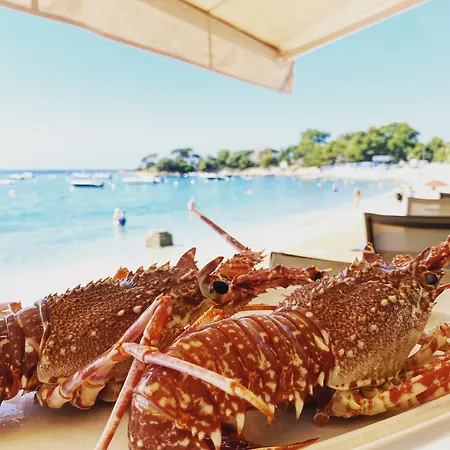 Palm Hotel Ajaccio (Corsica)