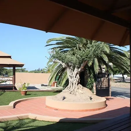 Отель Palm 4*