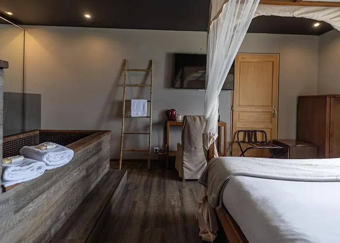 Palm Ajaccio (Corsica)