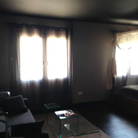 Palm Ajaccio (Corsica)