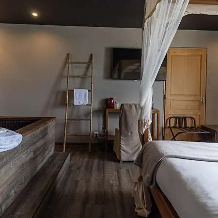 Palm Ajaccio (Corsica)