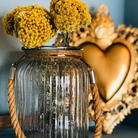 Palm 4* Ajaccio (Corsica)