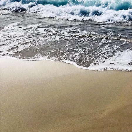 Hotel Palm Ajaccio (Corsica)