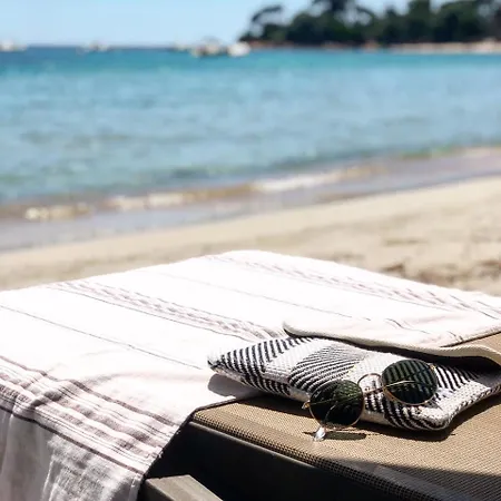 Palm Hotel Ajaccio (Corsica)