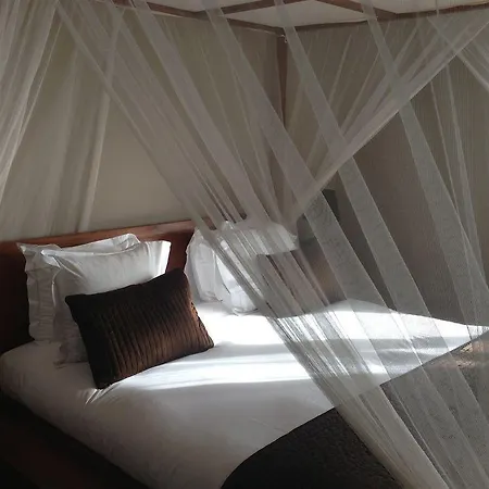 Palm Hotel