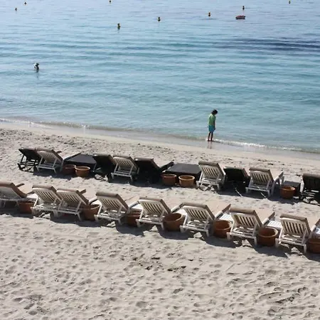 Palm Hotel Ajaccio (Corsica)