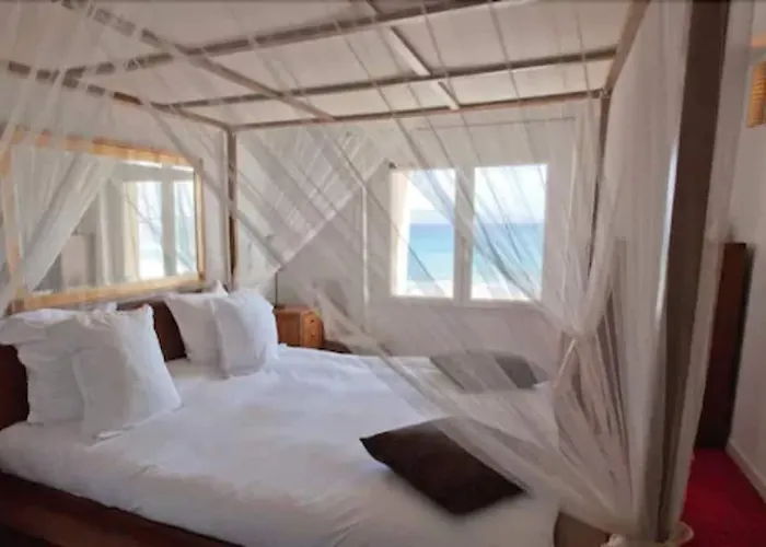 Palm Отель Аяччо