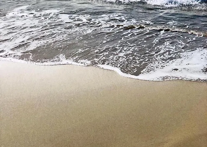 Отель Palm Аяччо