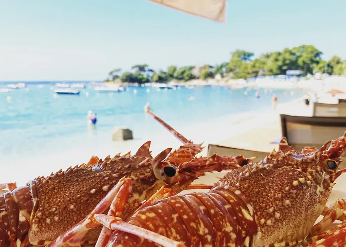 Palm Hotel Ajaccio (Corsica)