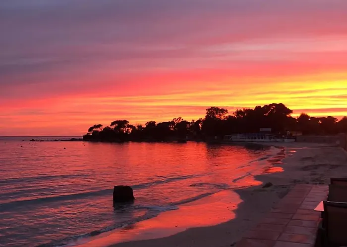 Palm Отель Аяччо