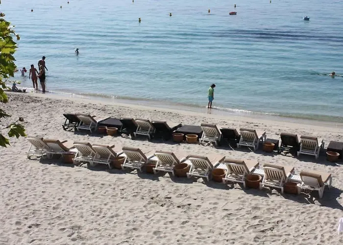 Palm Hotel Ajaccio (Corsica)